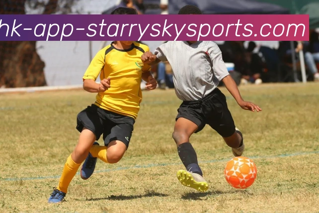 星空体育发展历程